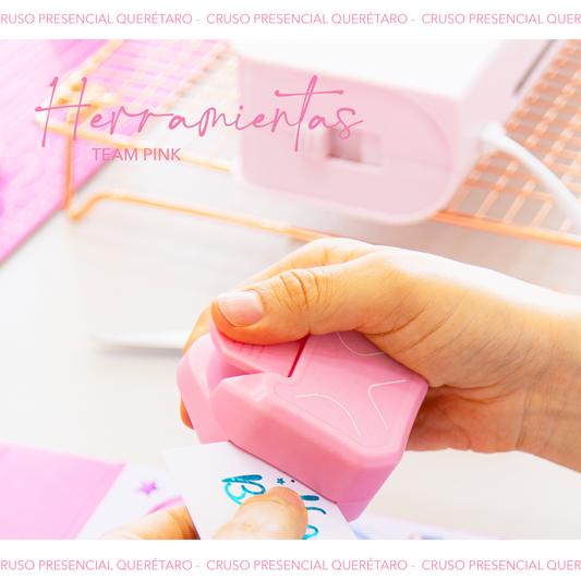 CURSO HERRAMIENTAS TEAM PINK - 21 DE FEB 2026